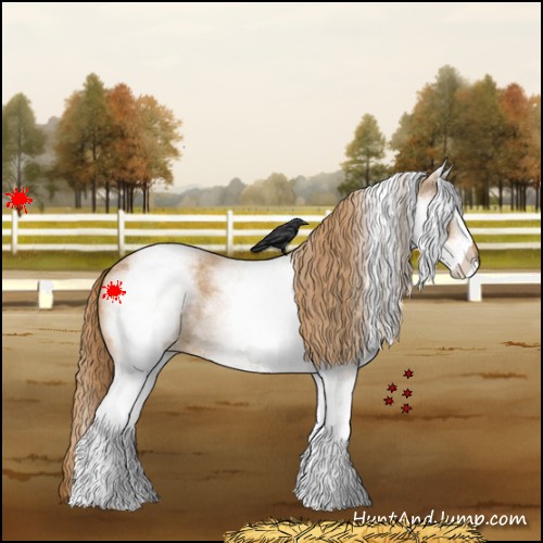 Horse Color:White Spotted Red Roan 