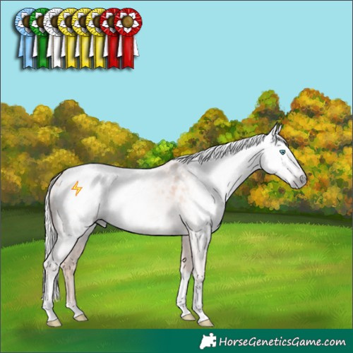 Horse Color:Gray Cremello Tobiano Blanket 