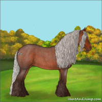 Horse Color:Silver Brown Roan Sabino