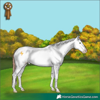 Horse Color:White Spotted Chocolate Sable Champagne Dun Blanket 