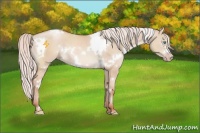 Horse Color:White Spotted Chocolate Silver Sable Champagne Dun