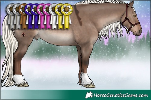 Horse Color:Liver Red Dun Mushroom Rabicano 