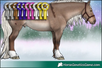 Horse Color:Liver Red Dun Mushroom Rabicano