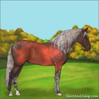 Horse Color:Silver Brown Tobiano 