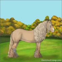 Horse Color:Red Dun Splash 