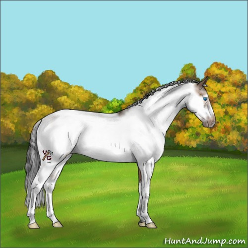 Horse Color:Brown Dun Sabino Frame Rabicano