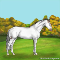 Horse Color:Brown Dun Sabino Frame Rabicano