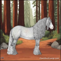 Horse Color:Silver Grullo Chinchilla Roan Splash 