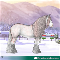 Horse Color:Silver Smoky Grullo Chinchilla Roan Splash Brindle 