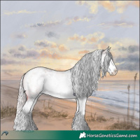 Horse Color:White Spotted Silver Brown Chinchilla Roan Dun Splash 
