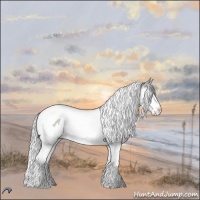 Horse Color:Silver Grullo Chinchilla Roan Splash Tobiano 