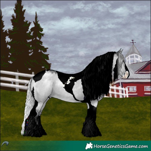Horse Color:Silver Grullo Chinchilla Roan Splash Tobiano 