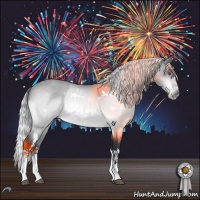 Horse Color:White Spotted Silver Brown Chinchilla Roan Splash Rabicano