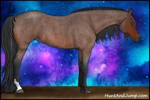 Horse Color:Bay Roan Tobiano