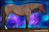 Horse Color:Bay Roan Tobiano 