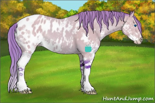 Horse Color:Watercolor Buckskin Sabino Splash Appaloosa 