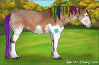 Horse Color:Painted White Spotted Buckskin Splash 