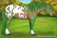 Horse Color:Watercolor Buckskin Sabino Tobiano Appaloosa 
