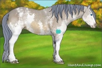 Horse Color:Watercolor White Spotted Bay Splash 
