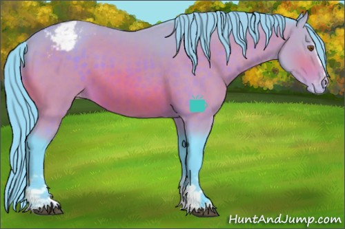 Horse Color:Watercolor White Spotted Buckskin Appaloosa 