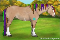 Horse Color:Painted White Spotted Bay Dun