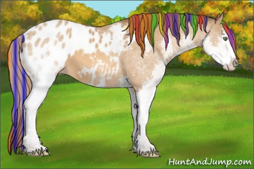 Horse Color:Painted White Spotted Sable Cream Champagne Splash Appaloosa 