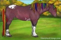 Horse Color:Painted White Spotted Buckskin Tobiano Appaloosa