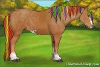 Horse Color:Painted Chestnut Sabino 