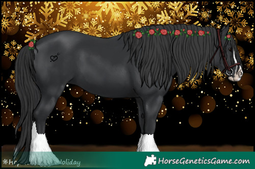 Horse Color:Black Splash