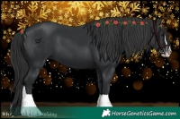 Horse Color:Black Splash