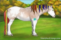 Horse Color:Painted Sable Champagne Ice Sabino Splash Appaloosa Rabicano