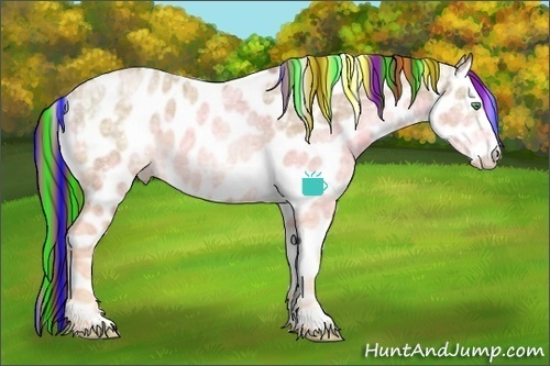 Horse Color:Painted Chocolate Smoky Black Ice Pearl Sabino Appaloosa Rabicano 
