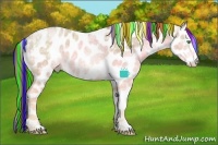 Horse Color:Painted Chocolate Smoky Black Ice Pearl Sabino Appaloosa Rabicano