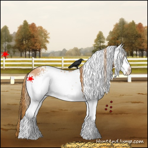 Horse Color:White Spotted Red Roan 