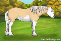Horse Color:Silver Buckskin Dun Splash