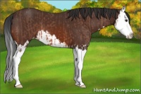 Horse Color:Brown Roan Splash Varnish  and Brown Splash Varnish 