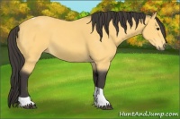 Horse Color:Buckskin Tobiano 