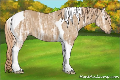 Horse Color:Chestnut Ice Tobiano 