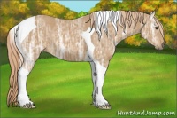 Horse Color:Chestnut Ice Tobiano