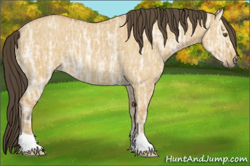 Horse Color:Buckskin Ice Dun Rabicano