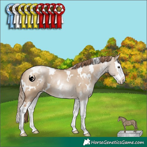 Horse Color:White Spotted Grullo Pearl Sabino Splash Rabicano