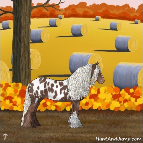 Horse Color:Liver Chestnut Mushroom Appaloosa 