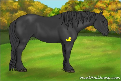 Horse Color:Black Sabino 