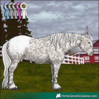 Horse Color:Platinum Silver Grullo Appaloosa 