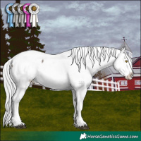 Horse Color:Platinum Silver Grullo Appaloosa 