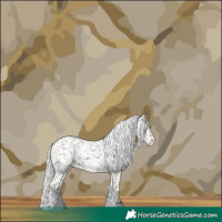 Horse Color:Platinum Silver Grullo Snowflake Varnish 