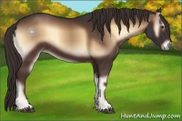 Horse Color:Liver Red Onyx