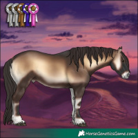 Horse Color:Liver Red Onyx 