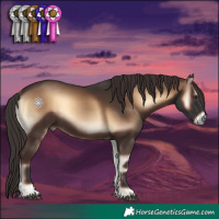Horse Color:Liver Red Onyx 