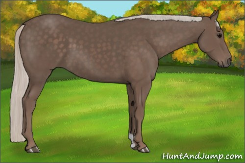 Horse Color:Silver Black 